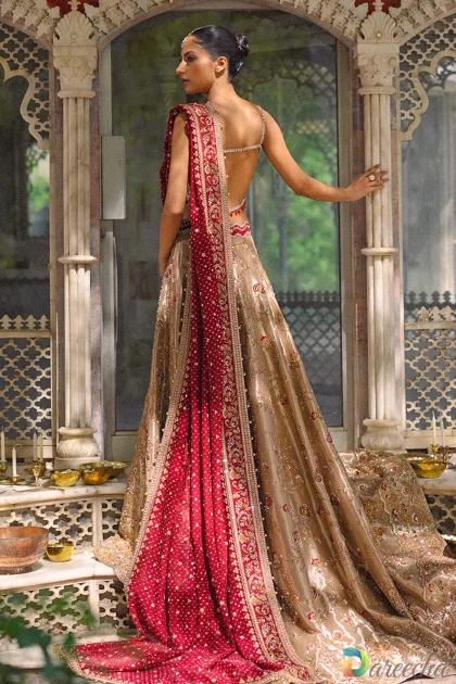 Back view of model wearing gold tissue lehenga choli showcasing backless choli design and flowing crimson dupatta train