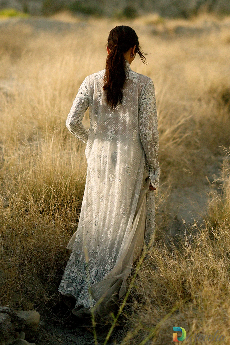 Full back view of champagne tulle peshwas showcasing long sheer jacket and tissue organza lehenga