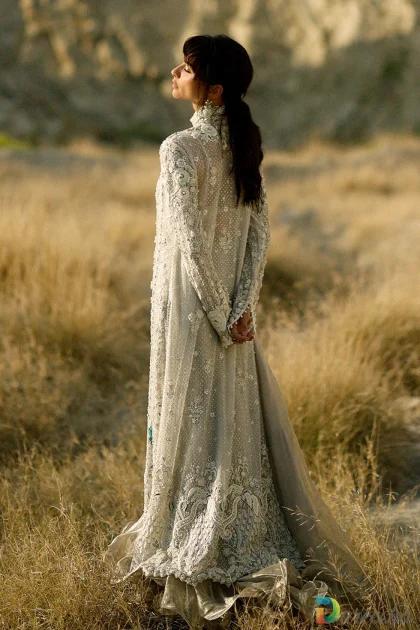 Full back view of champagne tulle peshwas showcasing long sheer jacket and tissue organza lehenga