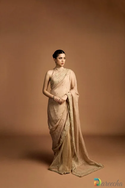 Dusky pink embroidered saree full length drape view