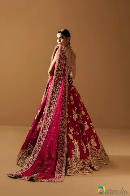 Back view showing sheer embroidered dupatta drape and choli