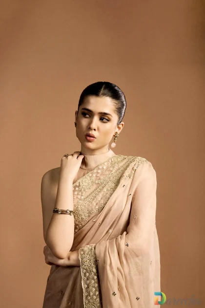 Close up of halter collar blouse and embroidered border