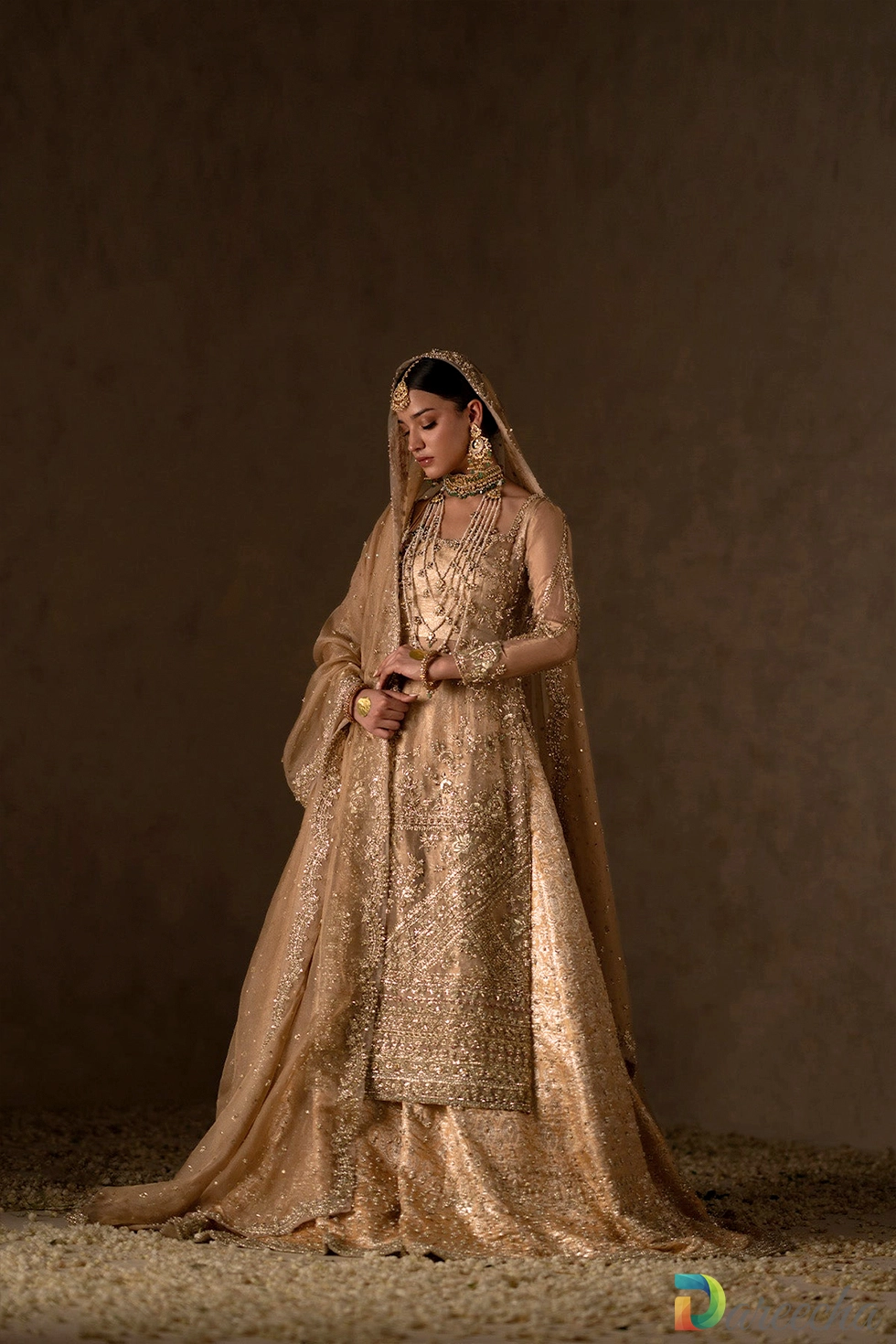 front view of embellished gold sharara suit