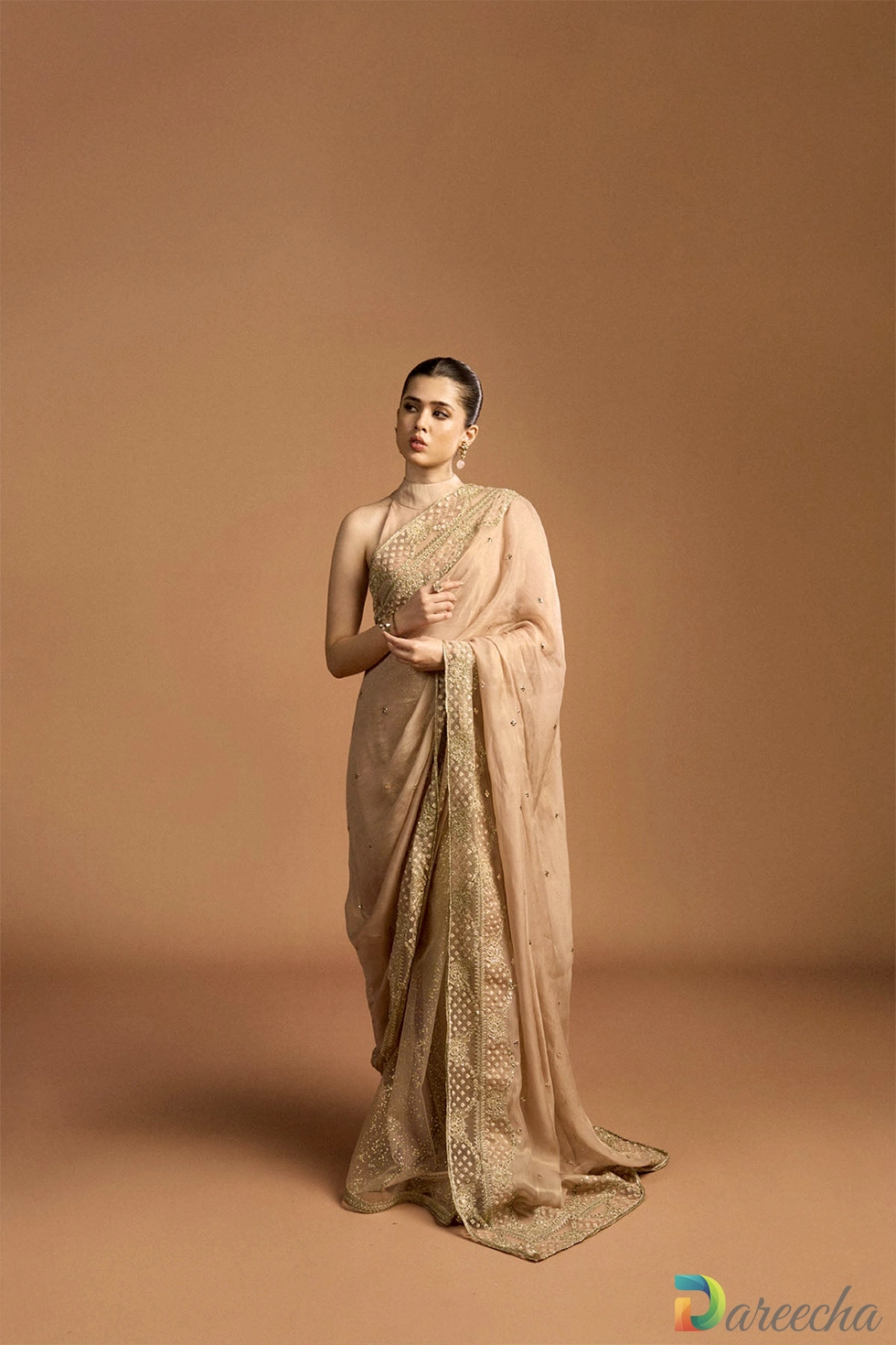 Front view showcasing foil printed net pleats and pallu