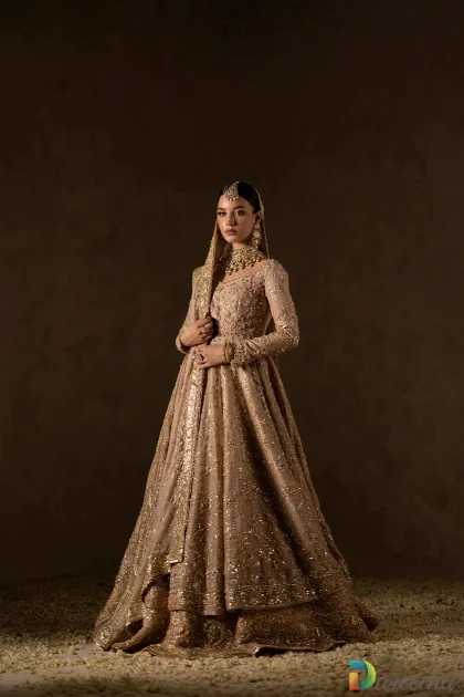 Zari net bridal peshwas side view with organza dupatta