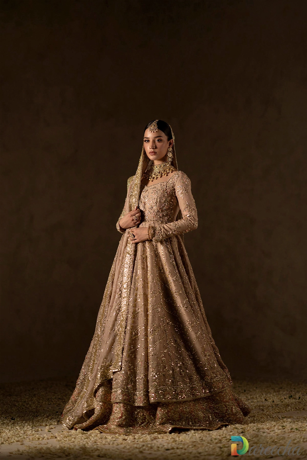 Zari net bridal peshwas side view with organza dupatta
