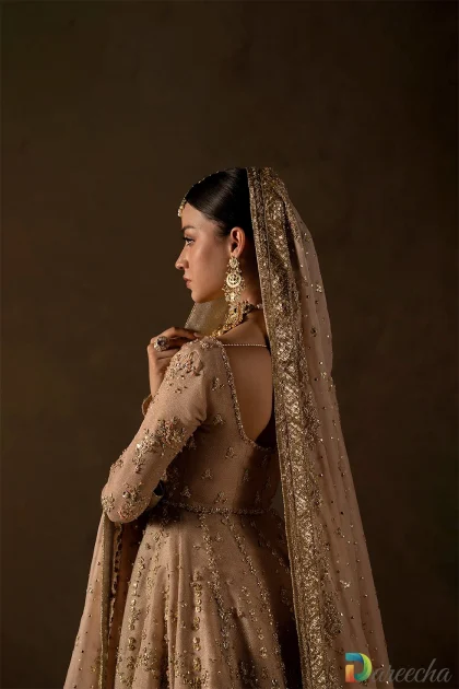 Back view highlighting silk organza dupatta border and sleeve